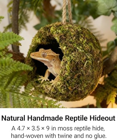 Handmade Crested Gecko Tank Accessories - Bearded Dragon Accessories, Reptile Hideout, Hermit Crab and Small Reptile Habitat 4.7x3.5x9in - Image 3