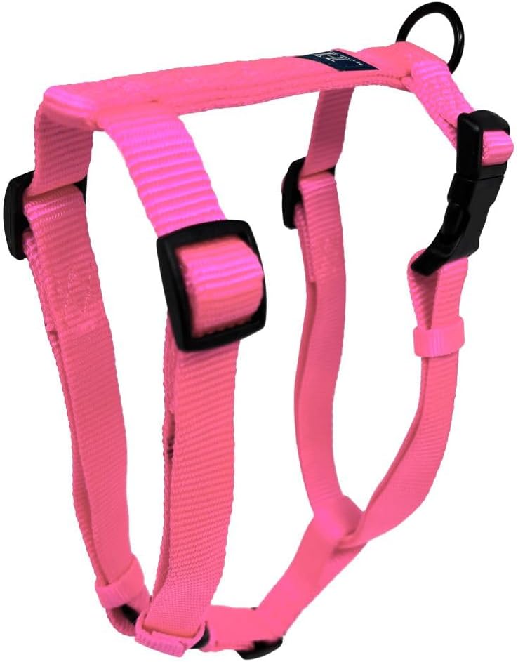 Detail of premium nylon webbing on Hamilton purple harness