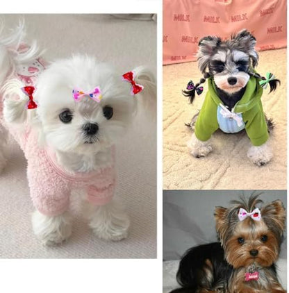 Small dog wearing a cute pearl and lace dog hair bow