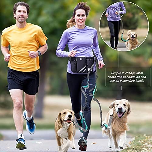 Dual bungee leash attachment for walking two dogs simultaneously