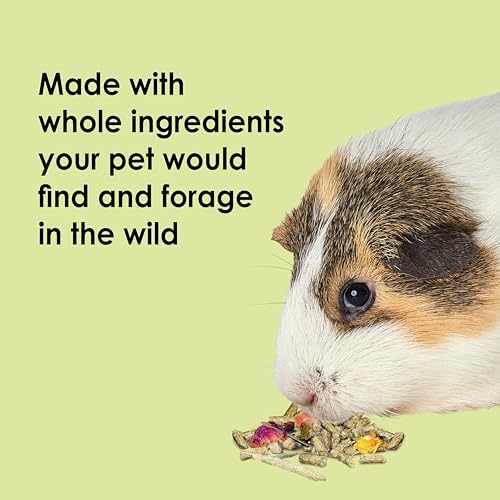 Kaytee natural foraging guinea pig food back label and feeding guide