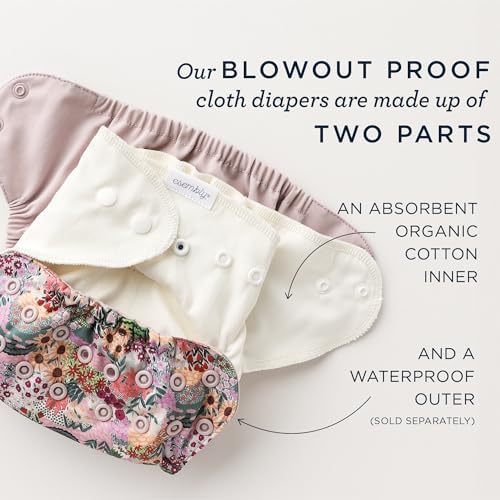 Esembly organic cotton absorbent inners laid flat
