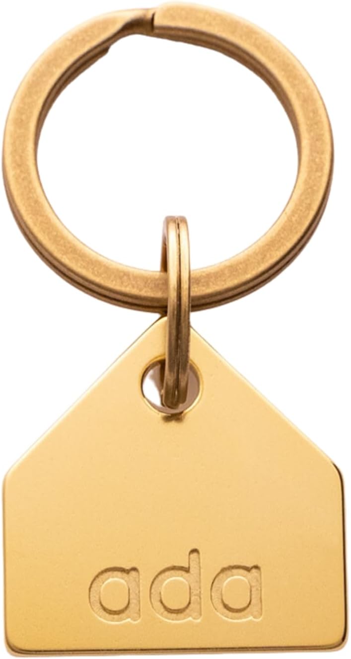 Solid Brass PET TAG - Modern, Minimal Pet IDs. Durable, Lifetime Tags with deep Cut Text. Includes Space for Two Phone Numbers. (Circle) - Image 11
