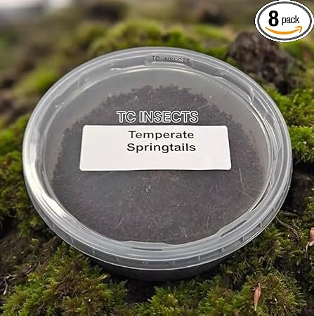TC Insects live springtail culture front view packaging container