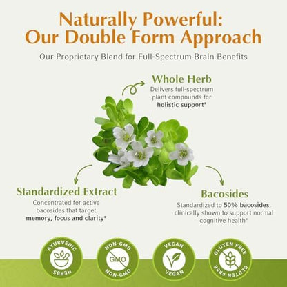 Organic Bacopa Monnieri powder and extract vegan capsules side display.