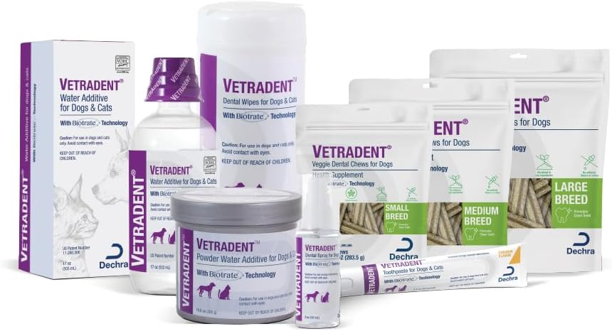Small dog eating Vetradent plant-based dental chew