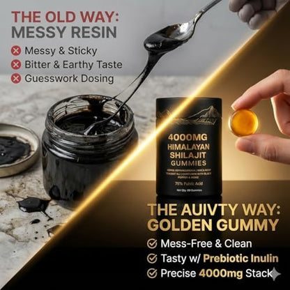Auivty 12-in-1 vitality booster shilajit supplement container display.