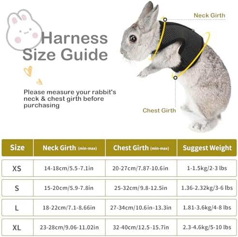 Pettom small pet harness displayed with stretchy elastic leash