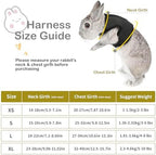 Pettom small pet harness displayed with stretchy elastic leash