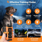 HRRVEE remote transmitter showing dual channel display for two dogs training