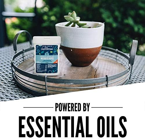 The complete three pack bundle of Aunt Fannie's essential oil bug defense wipes for families.