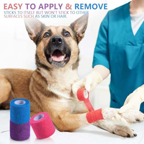 Water resistant colorful cohesive bandages being used as vet wrap for domestic pets.