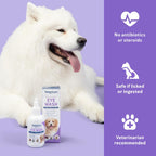 Pet owner using Vetericyn eye wash on a dog