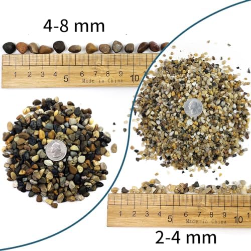 Shizwu decorative pebbles used as top dressing for succulent plant
