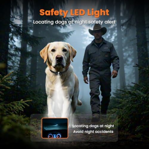 Rechargeable pet e-collar with safe vibration and beep modes