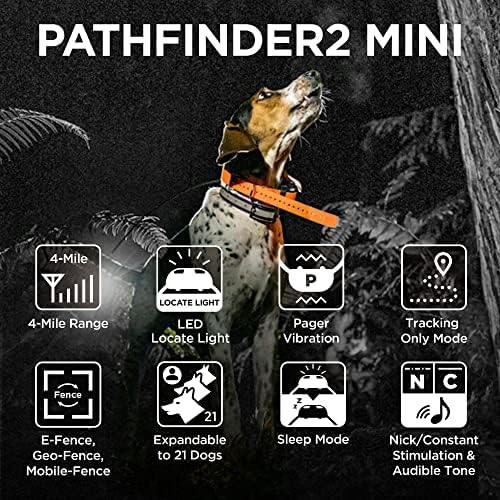 Dogtra E collar receiver for multi dog tracking