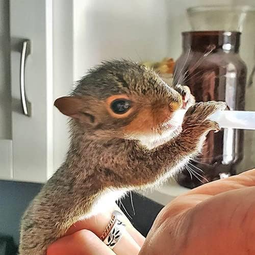 Exotic Nutrition baby animal milk replacer back label