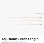 BuddyArmor cat leash in linen color