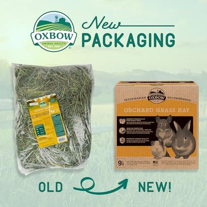 Oxbow Animal Health Orchard Grass, Guinea Pig Hay, Rabbit Hay, Small Pet Bunny Supplies, All Natural Grass for Guinea Pig, Bunny, Chinchilla & Hamster, Oxbow Rabbit Supplies for Bunnies, 9 lb. box - Image 4