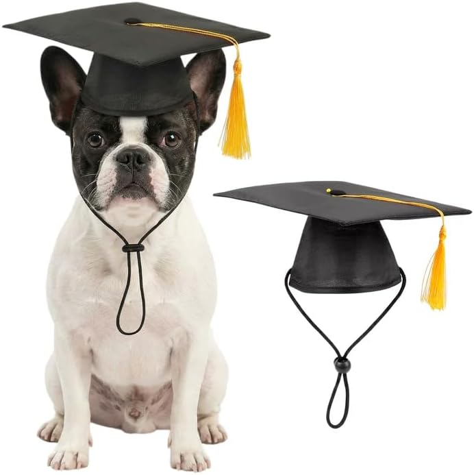 Emutol black pet graduation hat with yellow tassel front view