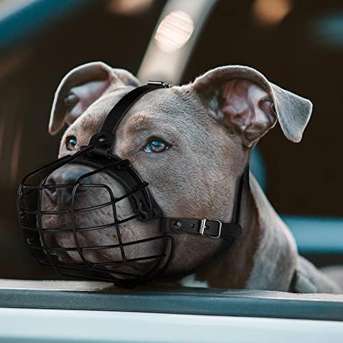 Budkas muzzle showing breathable design
