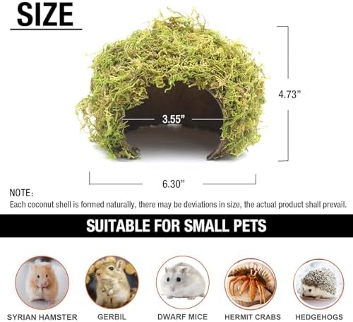 Hamster Hideout - Large, Natural Moss, Handcrafted for Syrian Hamsters, Rats & Guinea Pigs, Safe & Eco-Friendly - Image 7