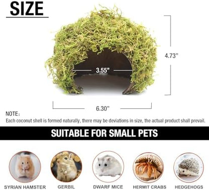 Hamster Hideout - Large, Natural Moss, Handcrafted for Syrian Hamsters, Rats & Guinea Pigs, Safe & Eco-Friendly - Image 7