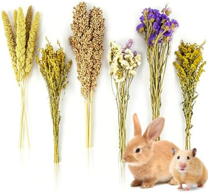 Sukh Natural Hamster Bedding Sprays - Foraging Habitat Decor Cage Accessories, Hideout Enrichment for Dwarf & Syrian Hamsters, Gerbils, Mice and Other Small Animals - Image 2