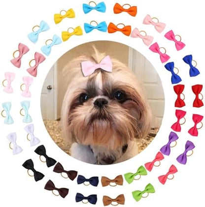 Colorful grosgrain ribbon bows for small dogs