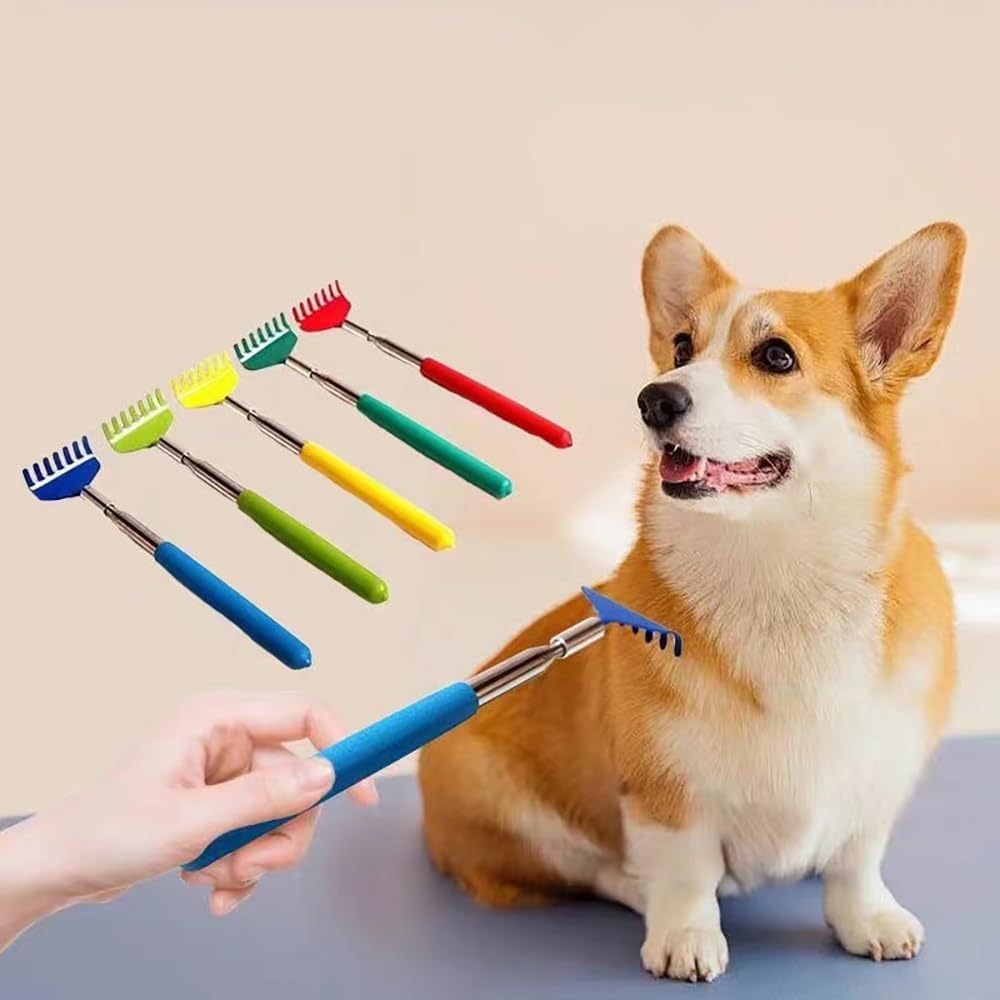 Stainless steel rounded teeth pet rake wand for touch therapy.