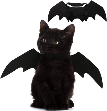 Puoyis pet cat bat wings front view
