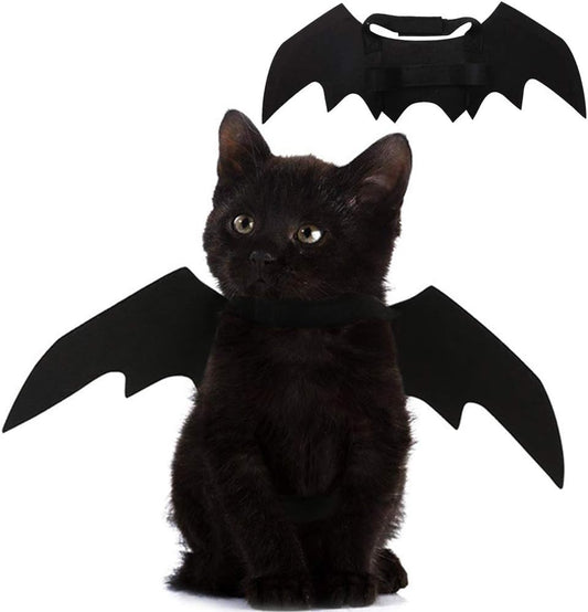 Puoyis pet cat bat wings front view