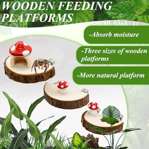 Jumping Spider Habitat Accessories Enclosure Habitat Accessories Jumping Spider Web Climbing and Feeding Platforms with Magnets for Small Insects Critters - Image 5