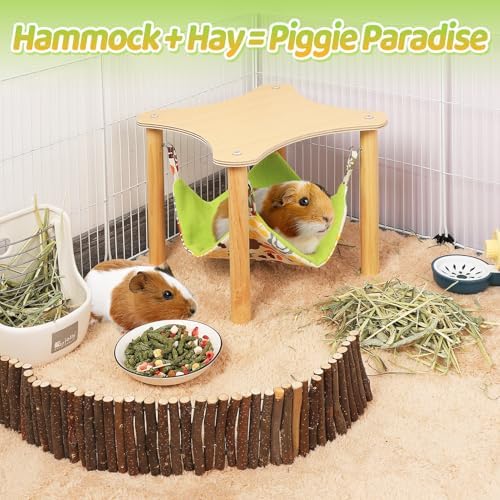 Guinea pig using the elevated wooden hideout stand