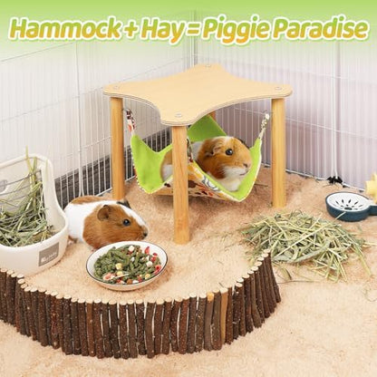 Guinea pig using the elevated wooden hideout stand