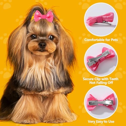 Top view of 30 pairs of colorful pet hair accessories
