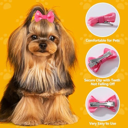 Top view of 30 pairs of colorful pet hair accessories