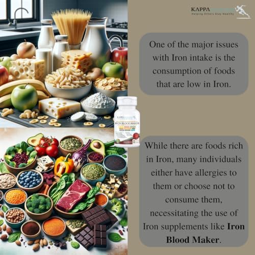 Authentic USA imported Kappa Nutrition Iron Blood Maker showing the premium manufacturing details and seal.