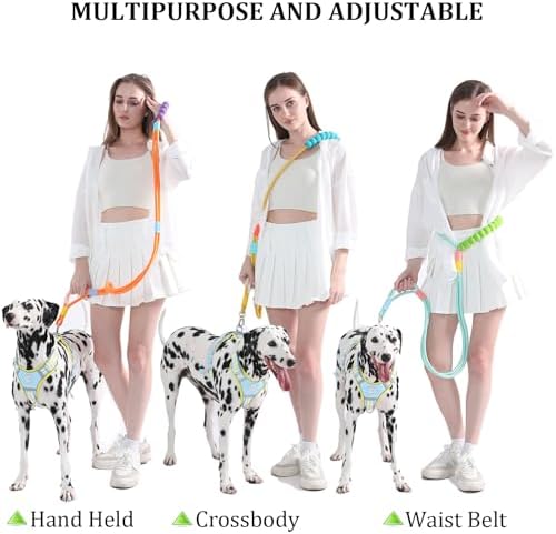 JSXD dog leash used on a large dog during walk