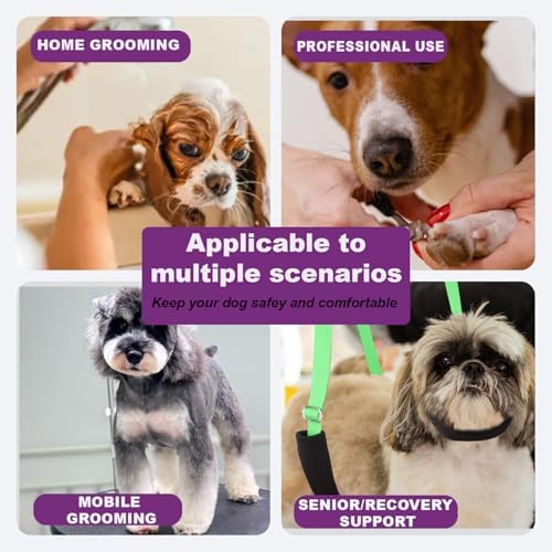 Discpetsec dog restraint set for professional and home use