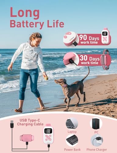 Doglinsen remote operated training collar package box including additional training clicker