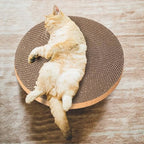 THAMIAO round cardboard refill insert placed flat on the floor for indoor cat claw grooming.