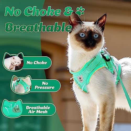 Adjustable buckle detail on Supet cat harness