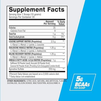 Authentic USA imported BPI Sports BCAA powder for Indian athletes.