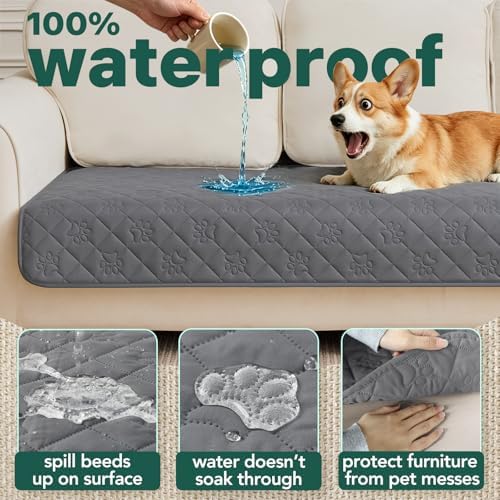 Golden retriever puppy resting comfortably on the soft PAWFINITY dog cover