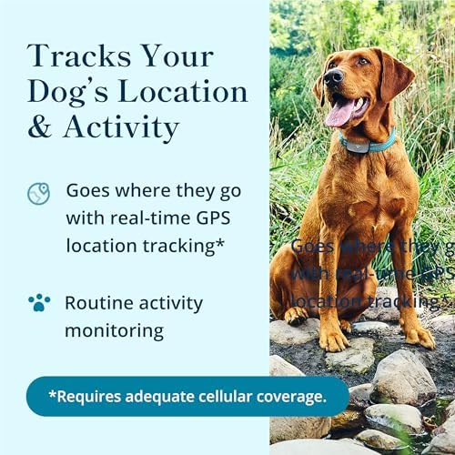 Petivity GPS dog collar tracker attached securely to a dog harness