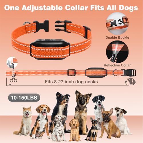 PaiPaitek ultrasonic and vibration dog training collar kit showing all included premium accessories.