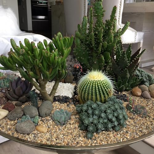 Natural stone gravel for succulent planters and decor