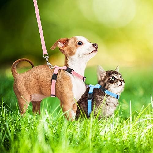 Outus multi-color pet safety walking vest laid out flat.
