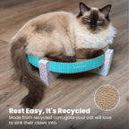 Catstages indoor cat scratcher resting in a living room setting.